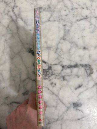 Guide Kirby Nightmare Dreamland Gameboy JP