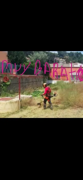 Jardinero a buen precio