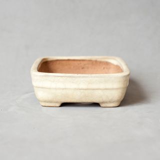 Maceta Bonsái Tokoname YAMAFUSA - 16cm