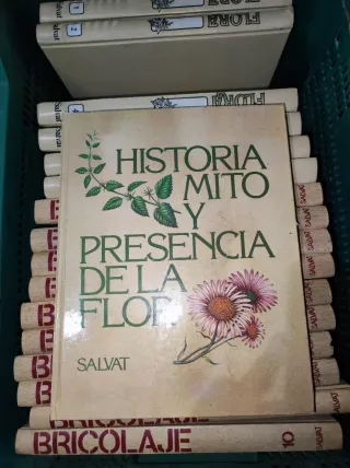 Historia mito y presencia de la flor