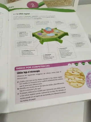 Cuatro libros de grado básico.