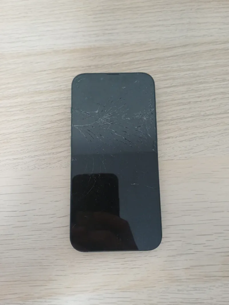 iPhone 13 Negro afbeelding 2
