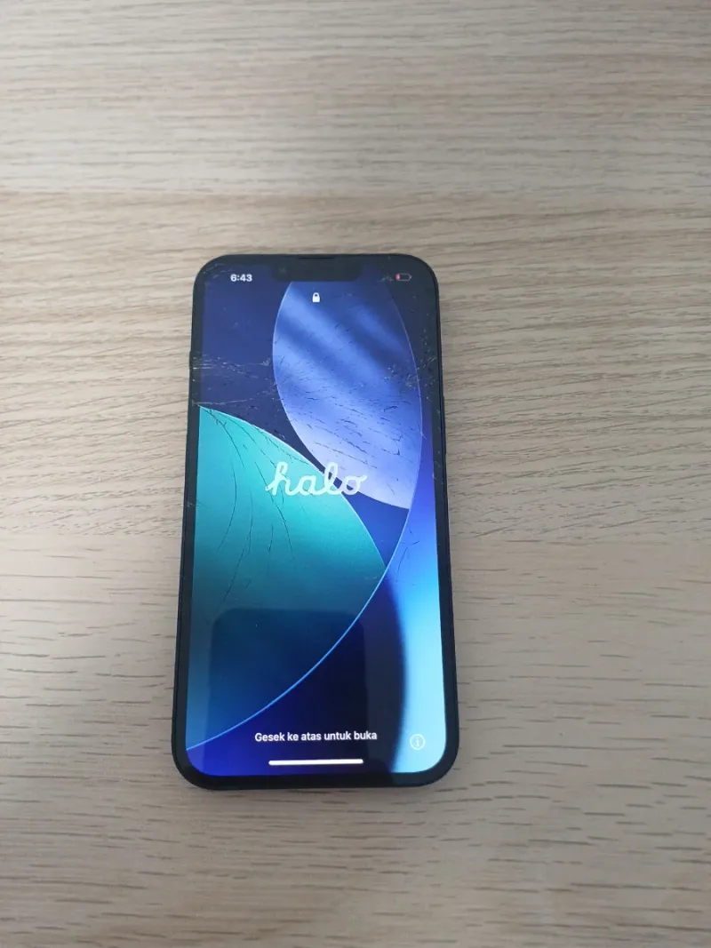 iPhone 13 Negro afbeelding 4