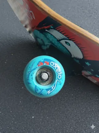 Skate Oxelo con diseño de oso