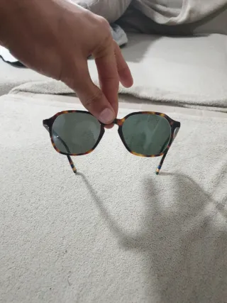 Gafas de sol marca el ganso  mujer tortuga y verde
