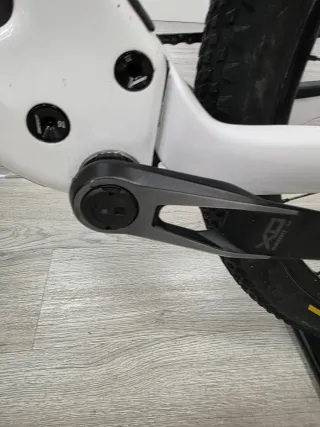 Berria Mako Flight Attendant