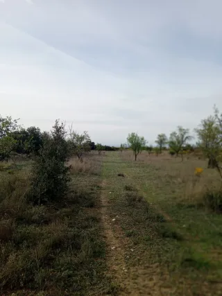 Finca rústica en les Borges Blanques
