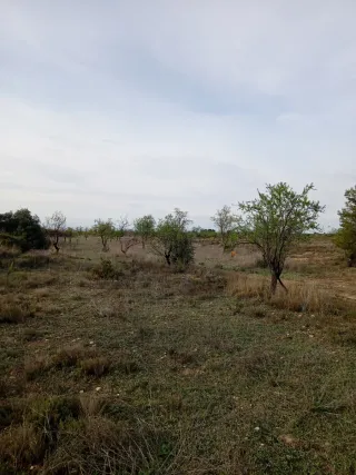 Finca rústica en les Borges Blanques