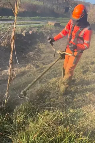 Servicio de jardinería