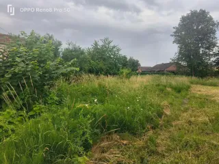 Servicio de jardinería y mantenimiento