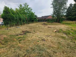 Servicio de jardinería y mantenimiento