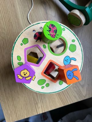 Tortuga de madera para arrastrar