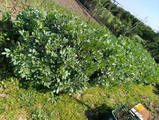 Parcela en Venta.