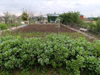 Parcela en Venta.