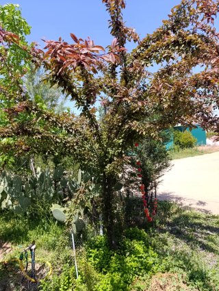 Parcela en Venta.