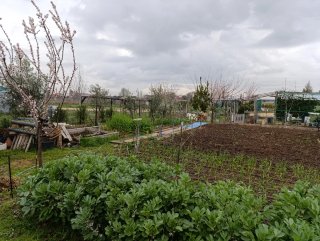 Parcela en Venta.