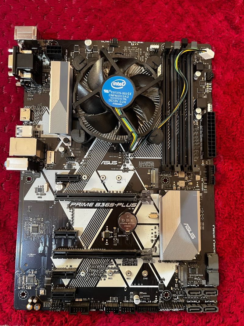 Placa Base ASUS PRIME B365-PLUS + Intel i7-9700F