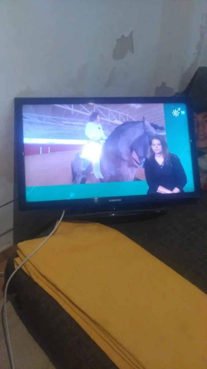Televisor Samsung Antiguo