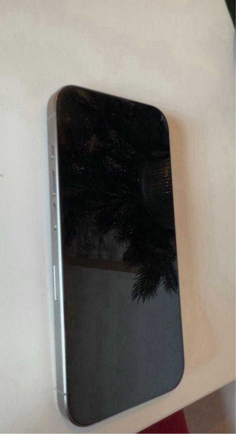 iPhone 15 Pro 256GB Gris afbeelding 5
