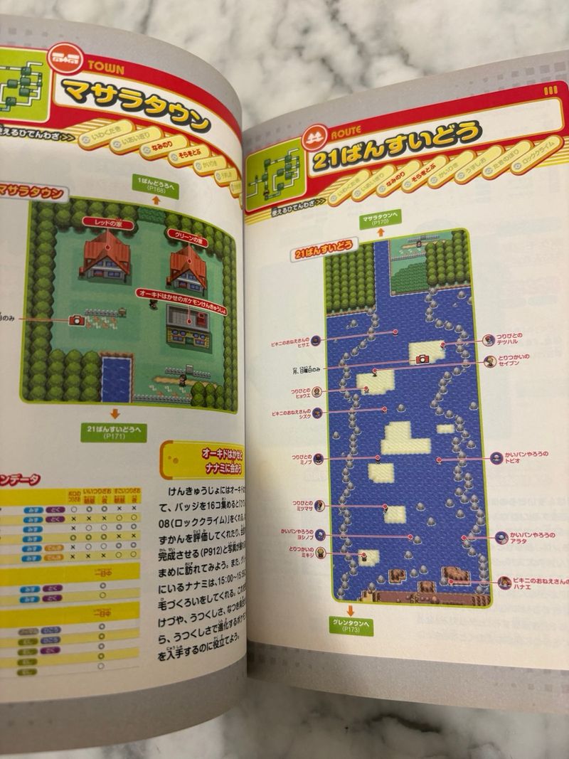 Guía Pokémon HeartGold SoulSilver DS JP afbeelding 8