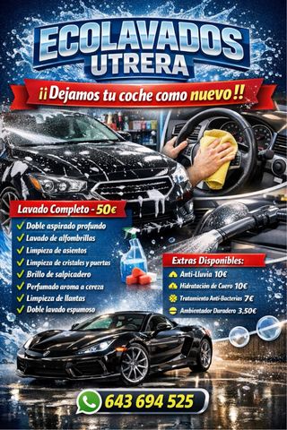 Limpieza de vehículos