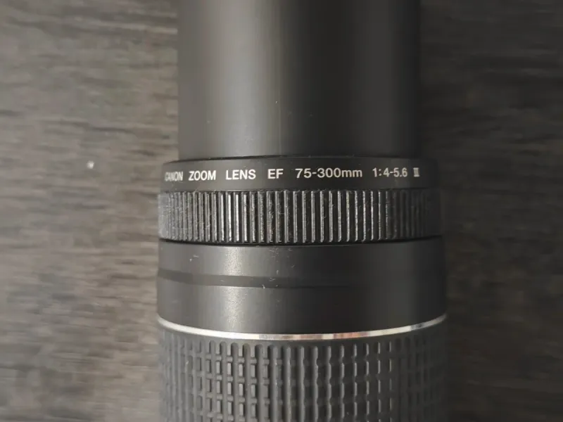 Lente Canon EF 75-300mm f/4-5.6 III afbeelding 5