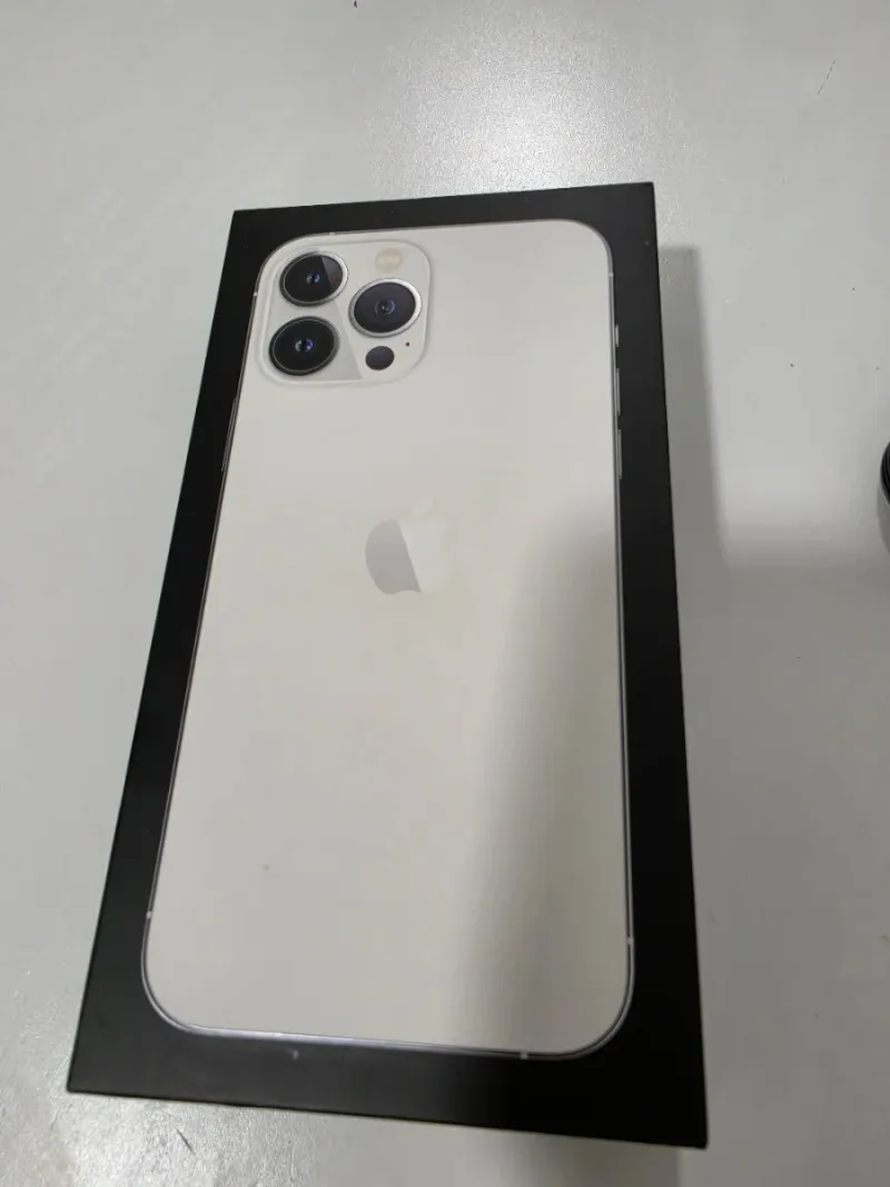 iPhone 13 Pro Max Plata