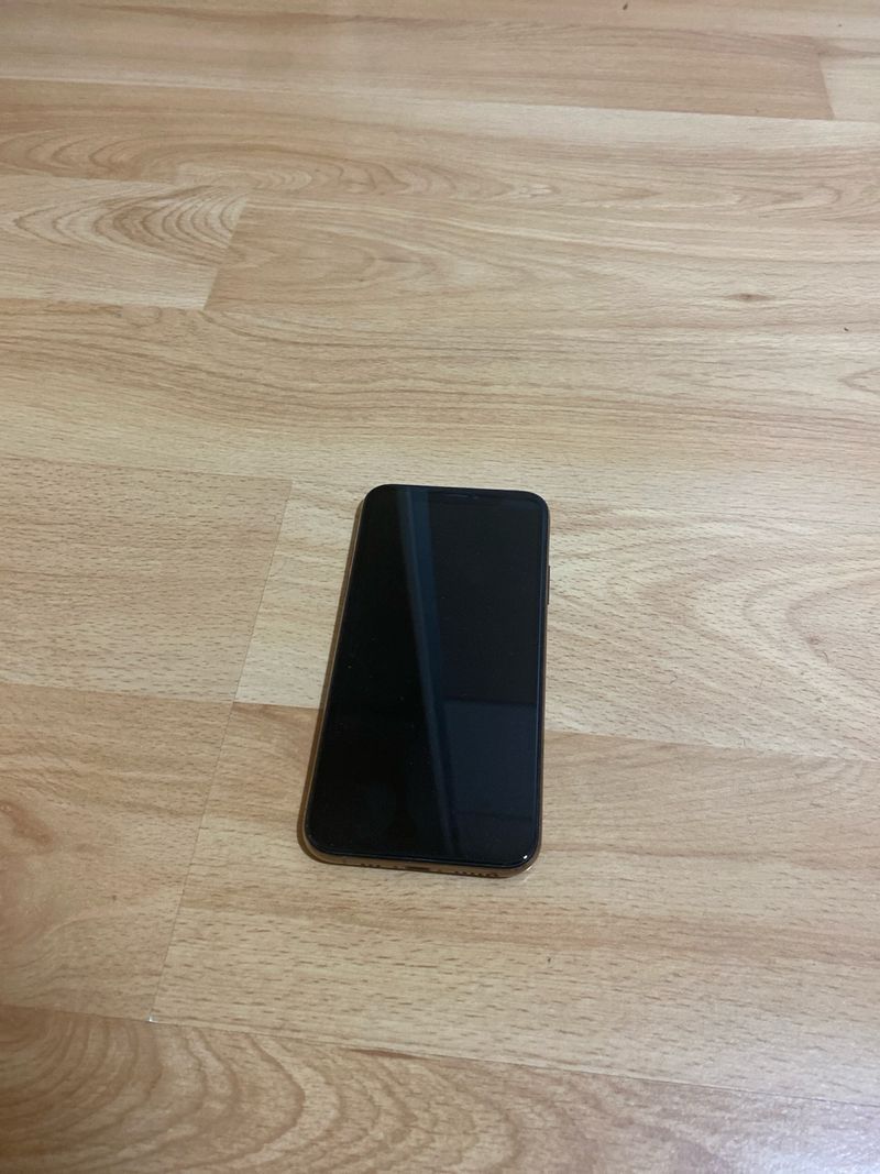 iPhone X dorado afbeelding 2