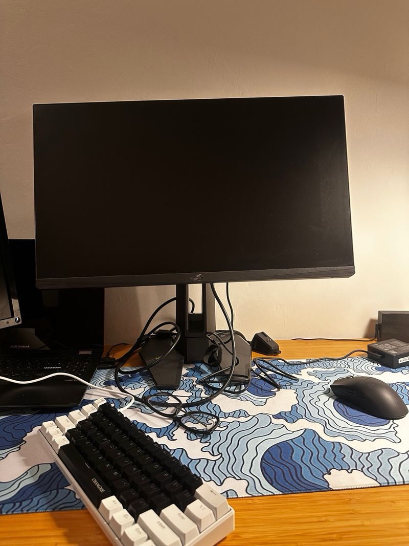 Asus PG248QP Monitor 540Hz con garanzia afbeelding 2