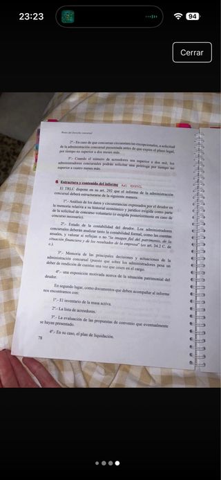 Bases del derecho Concursal 2025