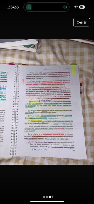 Bases del derecho Concursal 2025