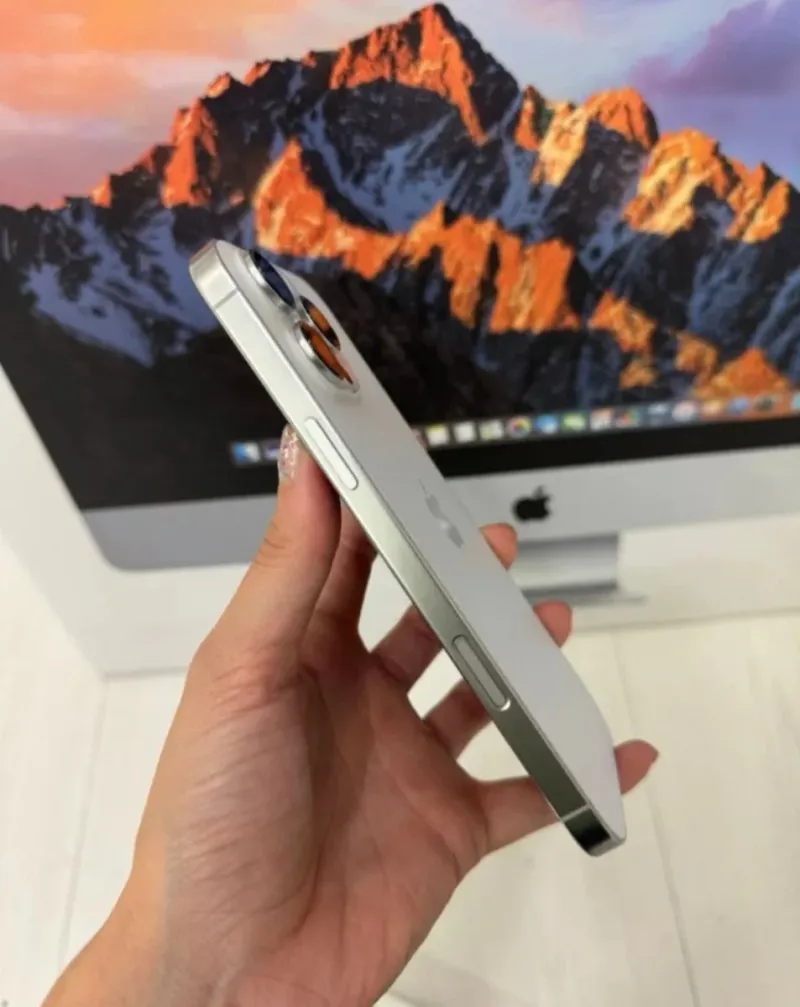 iPhone 16 Pro Max 256GB Plata afbeelding 2