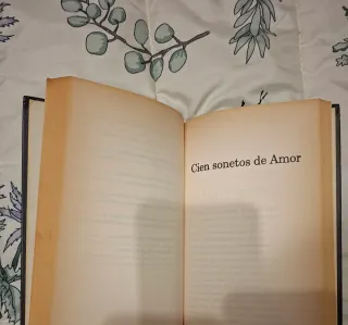 Veinte Poemas De Amor Y Una Canción Desesperada