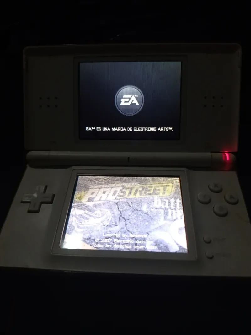 Nintendo DS Blanca afbeelding 2