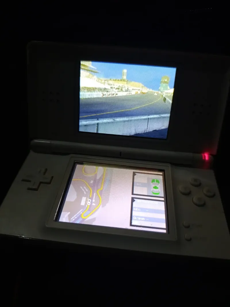 Nintendo DS Blanca afbeelding 4