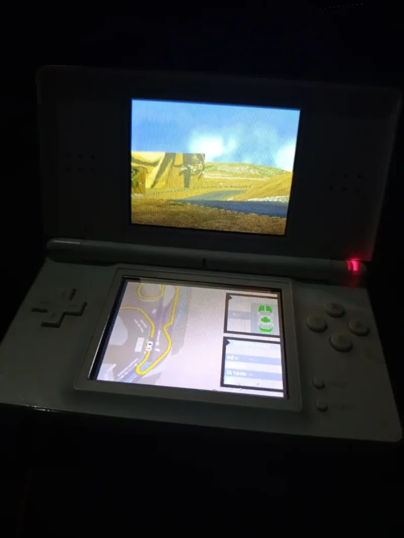 Nintendo DS Blanca afbeelding 5