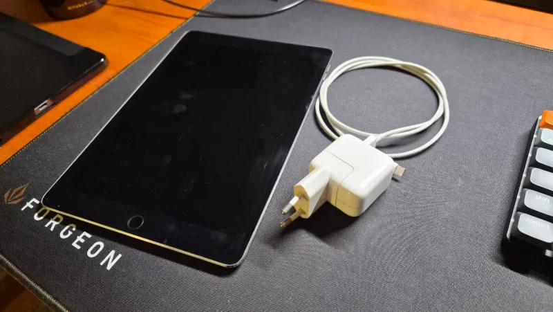 iPad Pro 9.7 Plata/Gris Espacial afbeelding 5