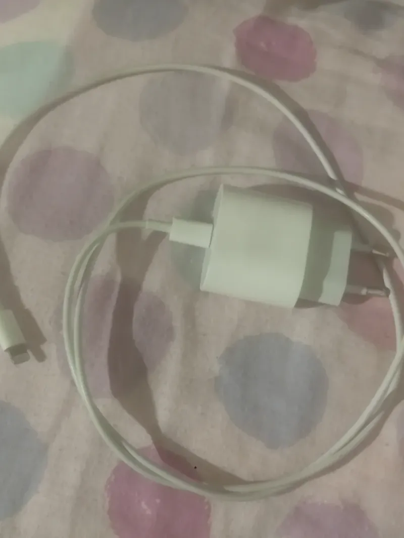 Cargador iPhone y cable original afbeelding 2