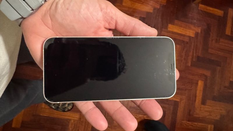 iPhone 12 Negro afbeelding 2