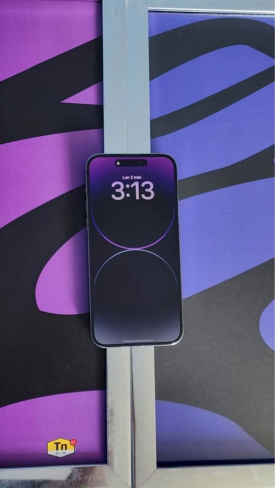 iPhone 14 Pro Max Morado/Plateado afbeelding 4