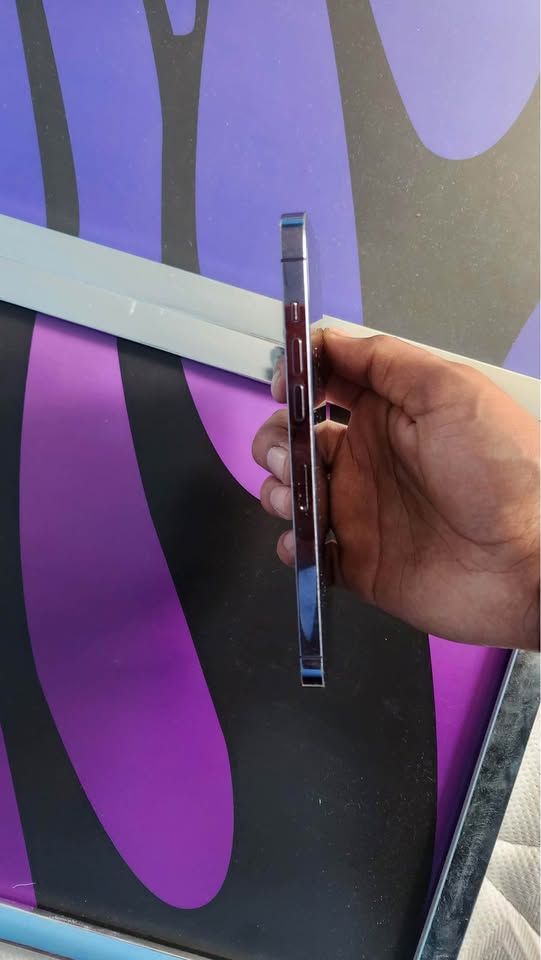 iPhone 14 Pro Max Morado/Plateado afbeelding 6