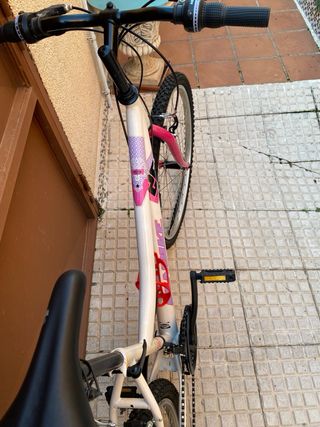 Bicicleta de Montaña Niña Rosa y Blanca