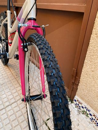 Bicicleta de Montaña Niña Rosa y Blanca