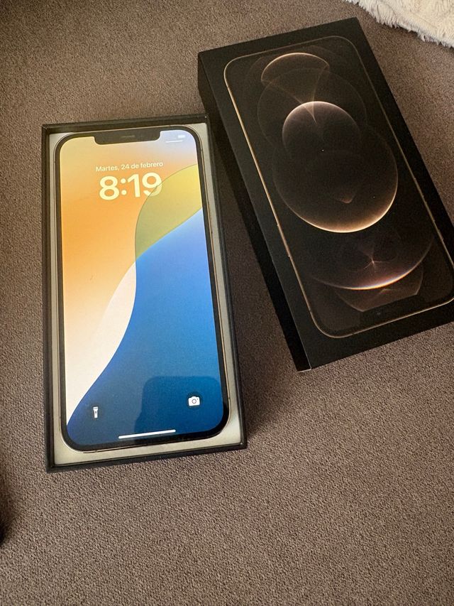 iPhone 12 Pro Max