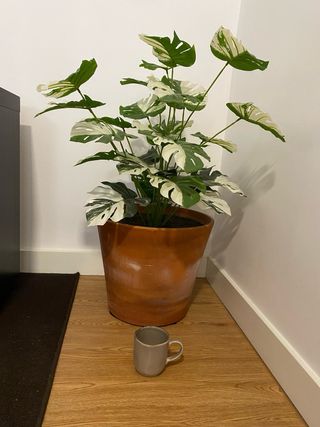 Maceta cerámica grande con planta de plástico