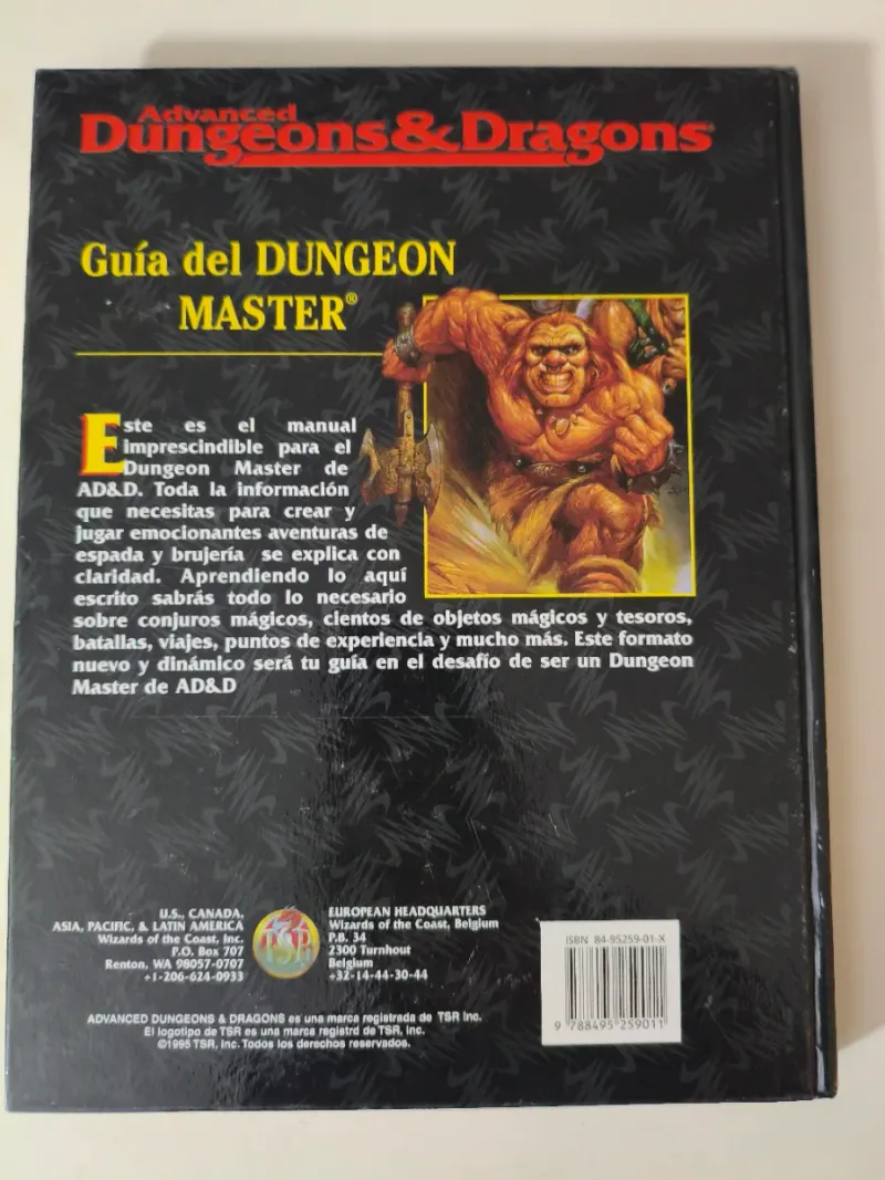 Guía del Dungeon Master AD&D 2ª Edición TSR afbeelding 2