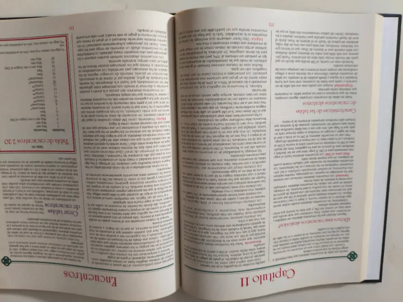 Guía del Dungeon Master AD&D 2ª Edición TSR afbeelding 3