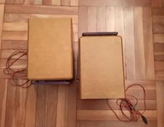 Altavoces JVC Marrones y Morados