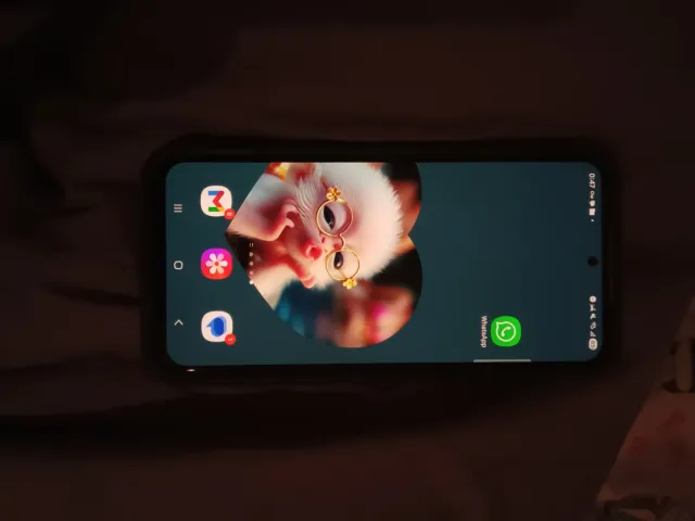 Samsung S23 FE