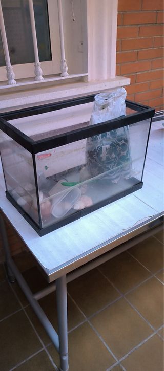 Pecera Rectangular Negra